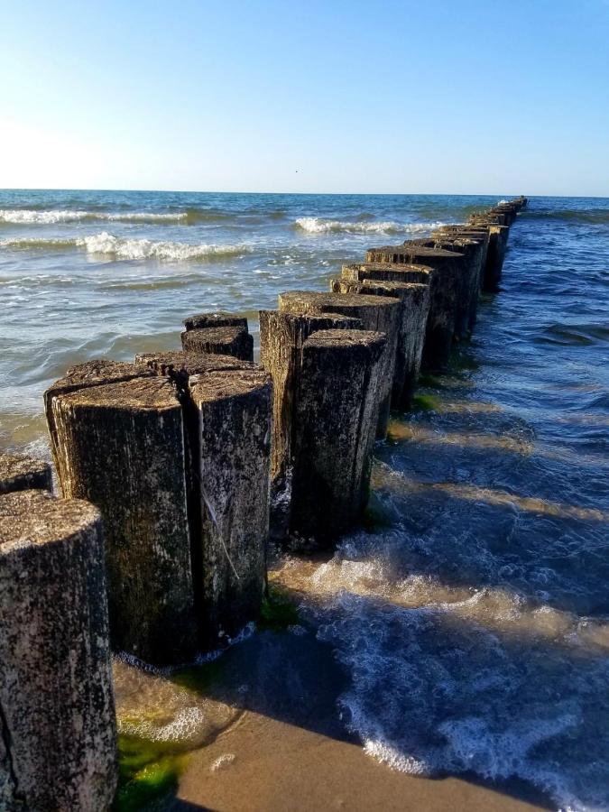 Zingst Achtern Diek 12D Elly Exterior photo