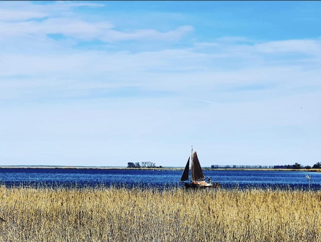 Zingst Achtern Diek 12D Elly Exterior photo