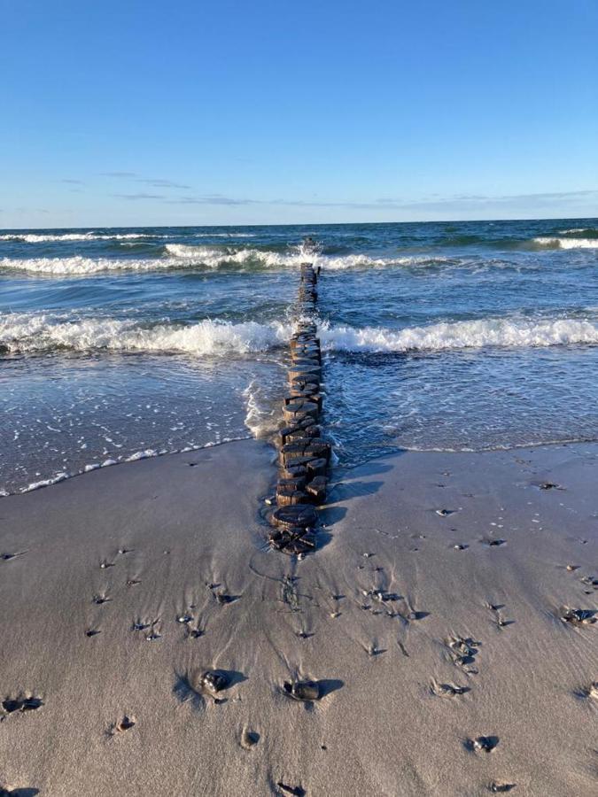 Zingst Achtern Diek 12D Elly Exterior photo